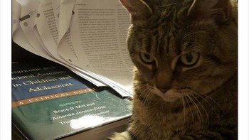 Review makalah bikin pusing! Foto: via Bored Panda