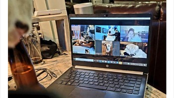 Zoom meeting dulu dengan teman-teman. Foto: via Bored Panda