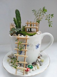 Saat karantina di rumah akibat pandemi COVID-19, sejumlah warga membuat miniatur taman yang cantik di atas sebuah cangkir teh untuk menghabiskan waktunya.