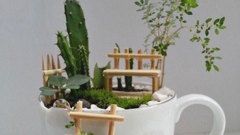 Tangga ini mengajak kita untuk datang ke taman yang ada di puncak cangkir.