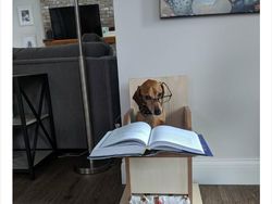 Begini Jadinya Kalau Hewan Ikut Belajar dari Rumah