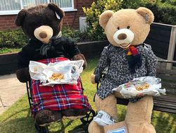 Tingkah Lucu Dua Beruang Raksasa Saat Karantina di Rumah