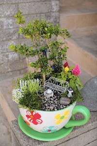 Saat karantina di rumah akibat pandemi COVID-19, sejumlah warga membuat miniatur taman yang cantik di atas sebuah cangkir teh untuk menghabiskan waktunya.