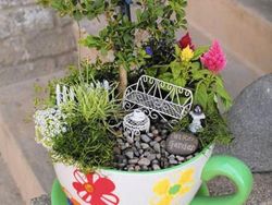 Kreatif! Ada Miniatur Taman di Atas Cangkir Teh