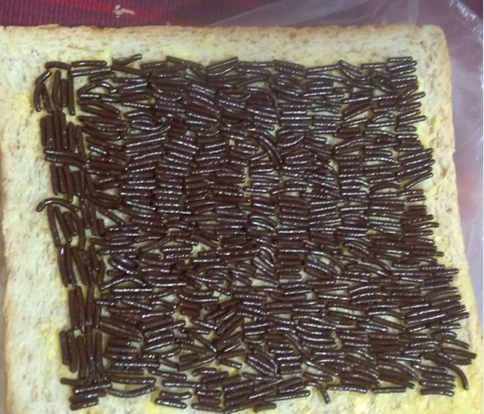 menata meises cokelat
