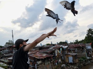 Jokowi Patok Ekonomi Tahun Depan 5,5%, Realistis?