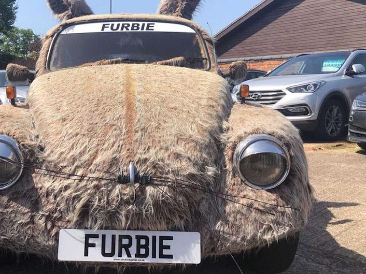 Spesies Langka, (VW) Kodok Punya Bulu