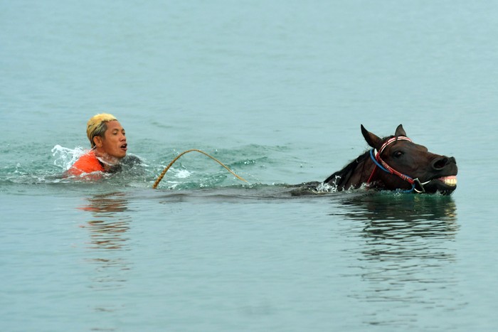 MELATIH KUDA PACU DI PANTAI TALISE Dua ekor kuda pacunya dilatih pemiliknya di Pantai Talise, Palu, Sulawesi Tengah, Minggu (19/4/2020). Meski tidak ada lomba akibat pandemi COVID-19, pemilik kuda di daerah tersebut tetap rutin merawat dan melatih kuda pacunya. ANTARA FOTO/Mohamad Hamzah/aww.