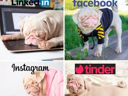 Kenalin, Anjing Pink Lucu Idola Baru di Instagram