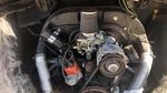 Spesies Langka, (VW) Kodok Punya Bulu