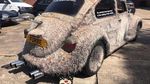Spesies Langka, (VW) Kodok Punya Bulu