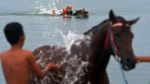 Melatih Kuda Pacu Hingga ke Tengah Laut