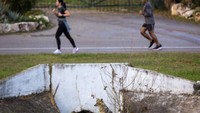 Taman yang biasanya dipenuhi oleh orang-orang yang berolahraga, piknik, atau berjemur itu saat ini memang telah kosong. Sebagai gantinya, para jakal yang mengambil alih. (Foto: Oded Bality/AP)