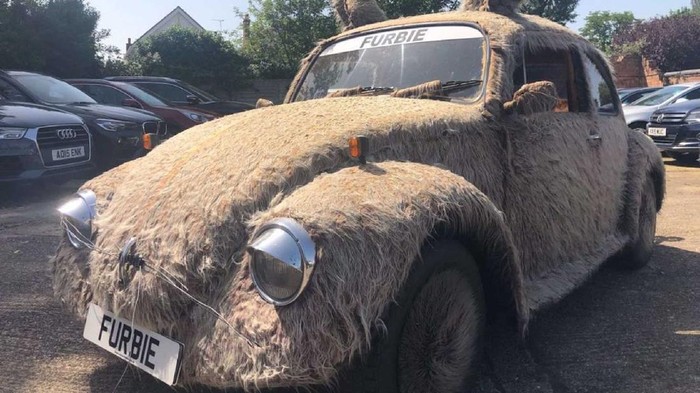 VW Kodok Berbulu VW Kodok Berbulu