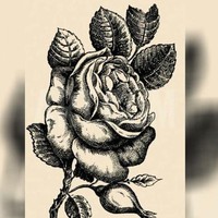 Pada gambar bunga ini terdapat gambar wajah yang tersembunyi. Coba perhatikan lagi dengan teliti dan kamu akan menemukannya. Jika sudah yakin dengan jawabanmu, lihat halaman selanjutnya untuk menemukan jawabannya. Foto: dok. Honest to paws