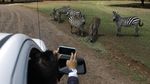Kebun Binatang di Meksiko Jual Tiket Setengah Harga Demi Beli Makan Satwa