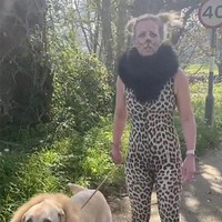 Awalnya Meardon hanya memakai kostum tersebut lalu iseng mengirimkan fotonya menggunakan kostum ke temannya. Tidak disangka salah satu temannya justru menantangnya untuk menggunakan kostum tersebut sambil berjalan di luar. Merasa tertantang, akhirnya Meardon melakukan hal ini bersama anjingnya. Terlihat menyeramkan atau menggemaskan nih? Foto: dok. Caters