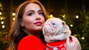 Kenalin, ini Milkshake bersama pemiliknya yang sangat sayang padanya, Maria. Foto: Instagram @milkshakethepug via Brainberries