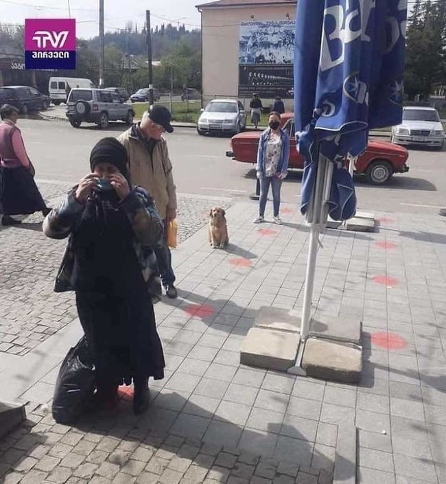 Seekor anjing jaga jarak di anteran masuk toko. Seorang pengguna Reddit menjelaskan bahwa dia berdiri untuk menjaga spot antrean pemiliknya. Foto: Reddit/ Boredpanda