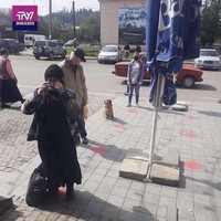 Seekor anjing jaga jarak di anteran masuk toko. Seorang pengguna Reddit menjelaskan bahwa dia berdiri untuk menjaga spot antrean pemiliknya. Foto: Reddit/ Boredpanda