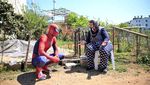 Potret Spiderman Turki yang Berbagi Kekuatan di Tengah Pandemi