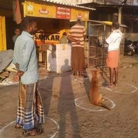 Foto ini diambil di depan sebuah toko di Tamilnadu, India. Seekor anjing berdiri tepat dalam lingkaran untuk melakukan social distancing. Foto: Reddit/ Boredpanda