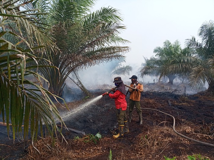 Sosok Kartini dari Manggala Agni, Selamatkan Hutan dari Kobaran Api