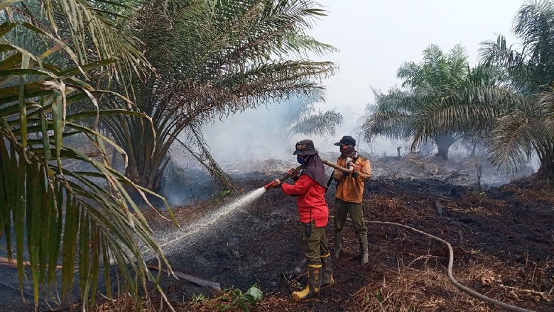 Sosok Kartini dari Manggala Agni, Selamatkan Hutan dari Kobaran Api Sosok Kartini dari Manggala Agni, Selamatkan Hutan dari Kobaran Api