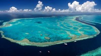 Ketika suhu lautan mengangat akibat krisis iklim, terumbu karang di Great Barrier Reef menjadi memutih yang dikhawatirkan tak akan pernah pulih. Pada awal 2020, Great Barrier Reef telah mengalami pemutihan massal untuk ketiga kalinya dalam waktu 5 tahun. (Foto: Getty Images)