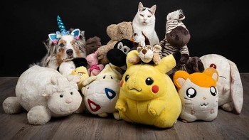 Bermain bersama aneka boneka, hewannya yang mana nih? (Foto: Juliette Bercovici)