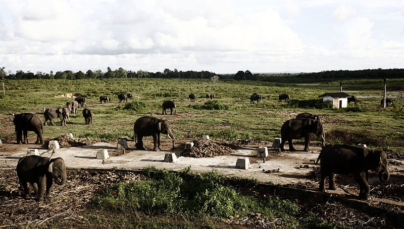 Tanggal 22 April kerap diperingati sebagai Hari Bumi. Berikut potret kondisi bumi yang kini tengah berjibaku menghadapi krisis.