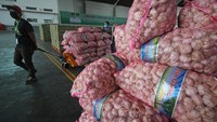 Seorang pekerja beraktivitas dan merapihkan tumpukan bawang putih di Lumbung Pangan Jawa Timur di JX International, Surabaya, Jawa Timur.