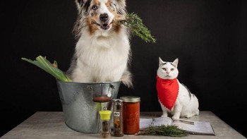 Sejak tanggal 17 Maret kota yang ia tinggalkan sudah di lockdown karena pandemi COVID-19. (Foto: Juliette Bercovici)