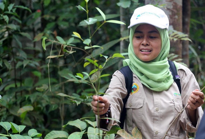 Hari Bumi yang jatuh pada 22 Maret dirayakan dengan beragam cara. Salah satunya adalah dengan melestarikan tanaman langka. Seperti ini contohnya.
