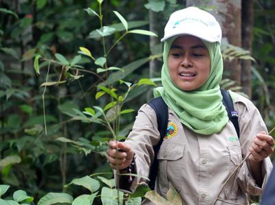 Rayakan Hari Bumi dengan Lestarikan Tanaman Langka