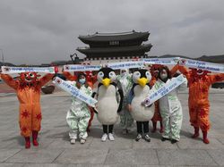 Penampakan Bumi yang Tengah Berjibaku Menghadapi Krisis