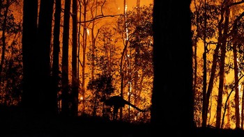 Sejak mulai diperingati 50 tahun silam pada 1970, baru kali ini bumi menghadapi dua krisis sekaligus. Krisis itu adalah pandemi COVID-19 dan perubahan iklim. Selama 50 tahun terakhir banyak sekali peristiwa alam yang membuat bumi tersiksa, seperti pembakaran hutan, perubahan iklim, sampah plastik, kenaikan air laut akibat penurunan permukaaan tanah dan hewan-hewan yang terdampak kejahatan manusia. Brett Hemmings/Getty Images.