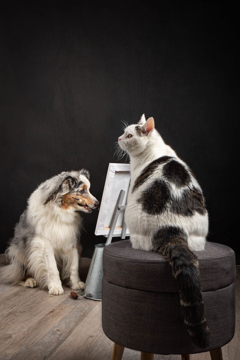 Potret Lucu Kehidupan Anjing dan Kucing Selama Lockdown