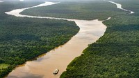 Pepohonan di Amazon dapat menyerap kelebihan karbondioksida (CO2) di udara dan mengubahnya menjadi oksigen (O2) yang dibutuhkan mahkluk hidup.  Namun saat ini kondisi Amazon semakin memprihatinkan karena dilakukannya penggundulan hutan yang luasnya setara dengan 8,4 juta lapangan sepak bola selama satu dekade terakhir. Selain itu, terjadi pula kebakaran hutan yang parah pada 2019 silam. (Foto: Getty Images)