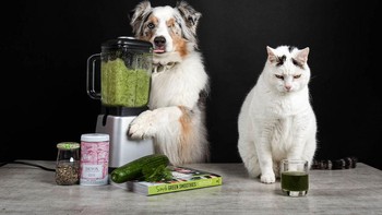 Tujuan saya adalah membawa senyum ke wajah teman-teman saya dengan membayangkan apa yang bisa dilakukan hewan peliharaan selama lockdown, jelasnya. (Foto: Juliette Bercovici)