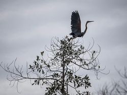 Penampakan Bumi yang Tengah Berjibaku Menghadapi Krisis