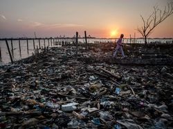 Penampakan Bumi yang Tengah Berjibaku Menghadapi Krisis