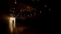 Traveler bisa ke Tasmania untuk mengunjungi Museum of Old and New Art (Mona) yang artistik. Kalian bisa menonton siaran langsung seniman Tim Steiner pada pukul 06:00 dan 12:30 WIB setiap hari. 