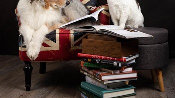 Dibuatnya foto ini adalah ingin membuat orang-orang tersenyum melihat hasil fotonya. (Foto: Juliette Bercovici)