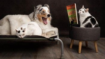 Foto-fotonya ini pun memiliki tema yang berbeda-beda. (Foto: Juliette Bercovici)