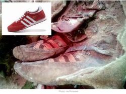 Aneka Foto Ini Dipercaya Jadi Bukti Perjalanan Waktu