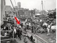 Time traveler