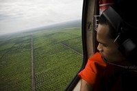 Tanggal 22 April kerap diperingati sebagai Hari Bumi. Berikut potret kondisi bumi yang kini tengah berjibaku menghadapi krisis.