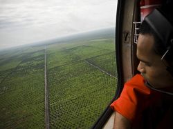 Penampakan Bumi yang Tengah Berjibaku Menghadapi Krisis
