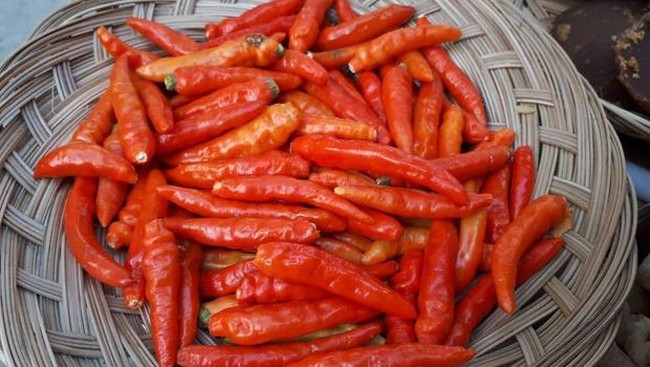 Cara Bikin Stok Sambal Terasi Awet Sebulan dan Trik Menyimpannya